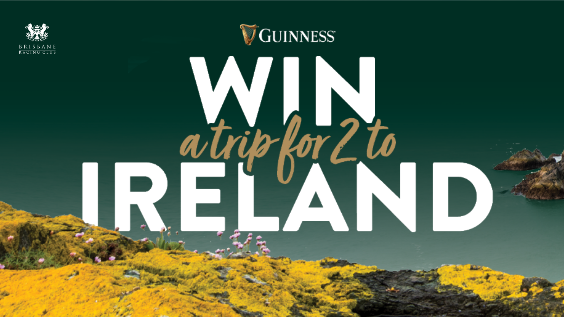 guiness promo tile